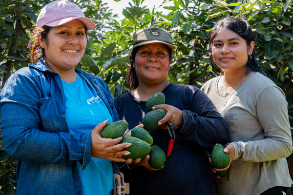 Día del campesino paltas