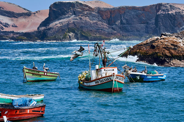 Día del pescador