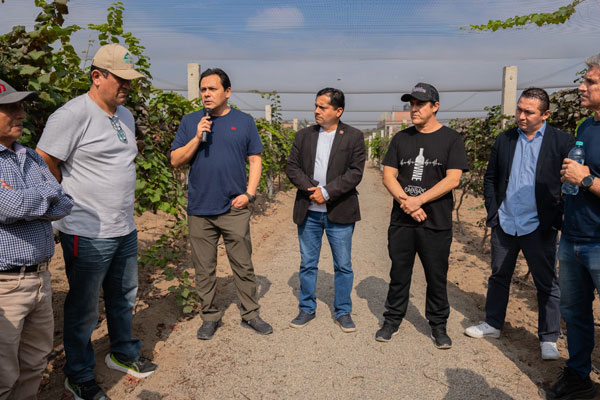 Vitivinucultores Huarmey Vitivinucultores Huarmey