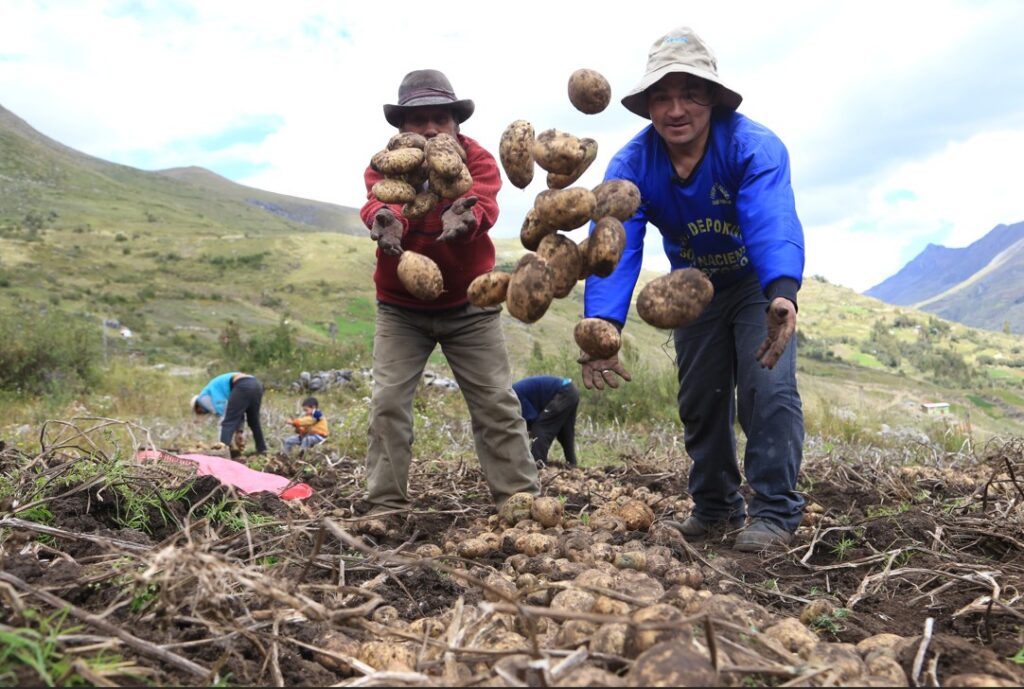 Día Mundial de la Alimentación: papas nativas