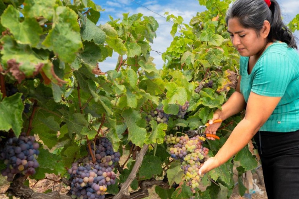 Día de las mujeres rurales Día de las mujeres rurales