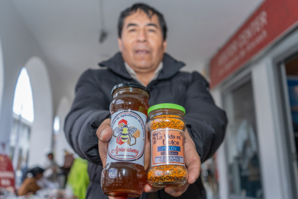 Apicultura Áncash: Huarmey