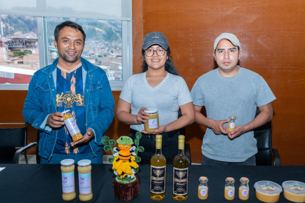 Apicultura Áncash: Huarmey