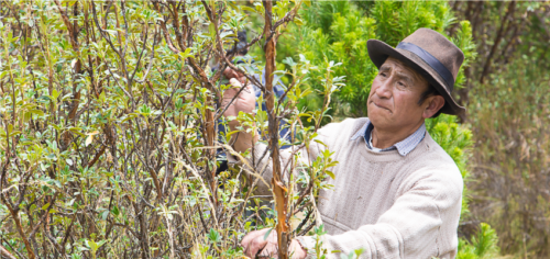gestión ambiental